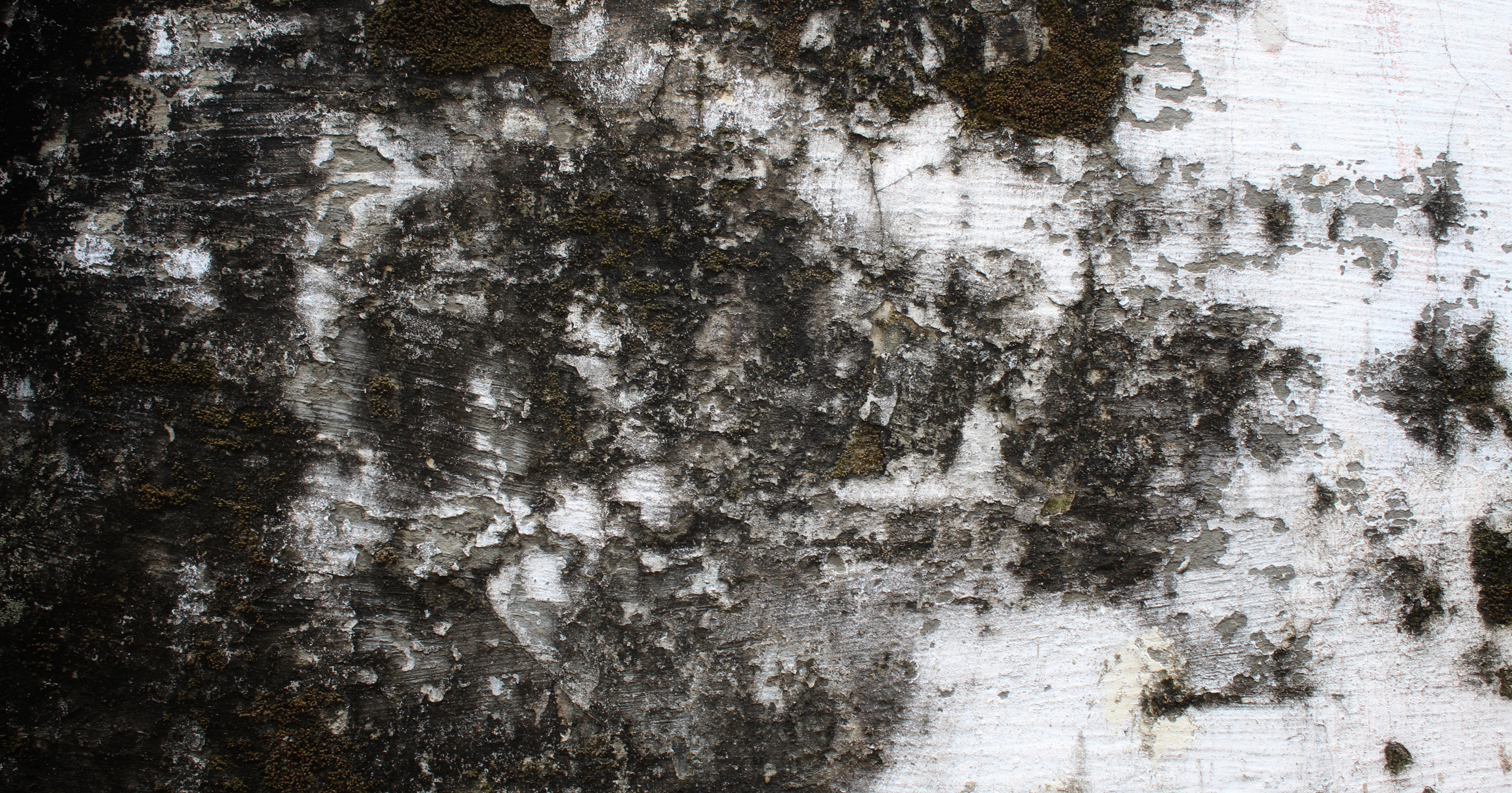 insulation contractor in CT