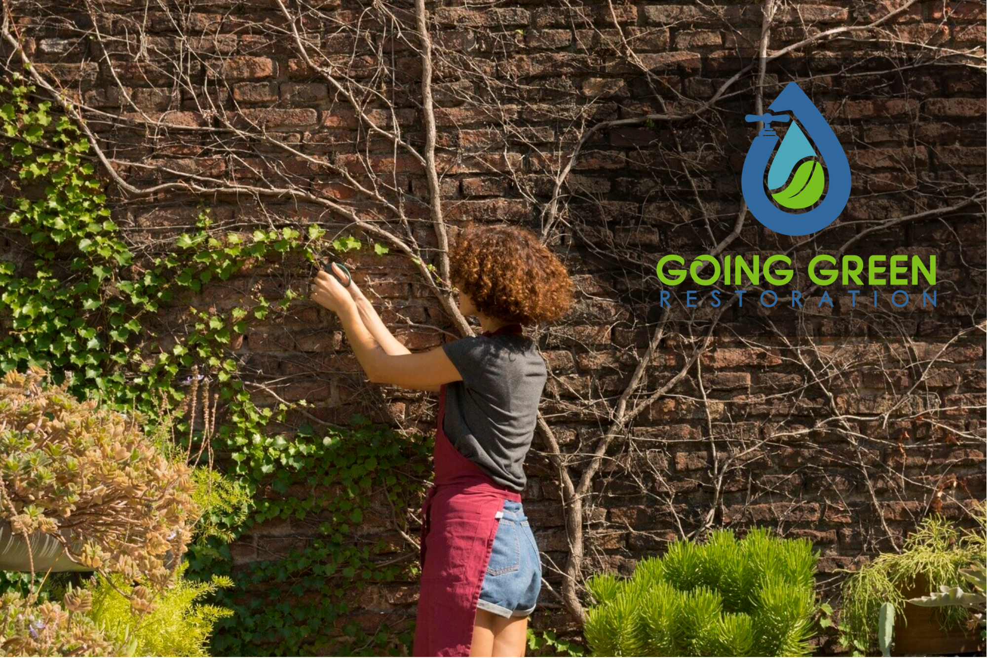 Orlando Residential Mold Remediation