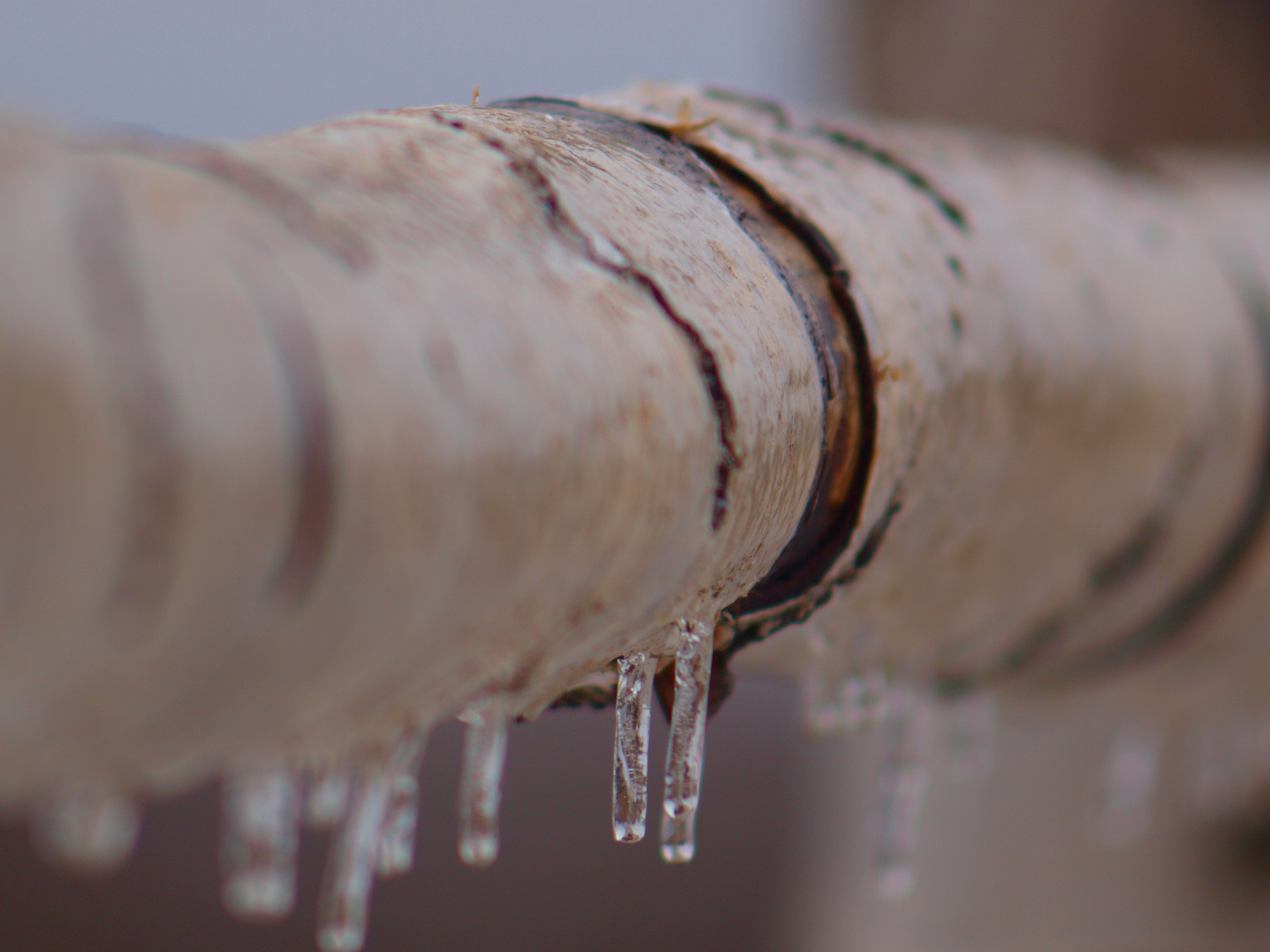 Water Damage Repair Orlando