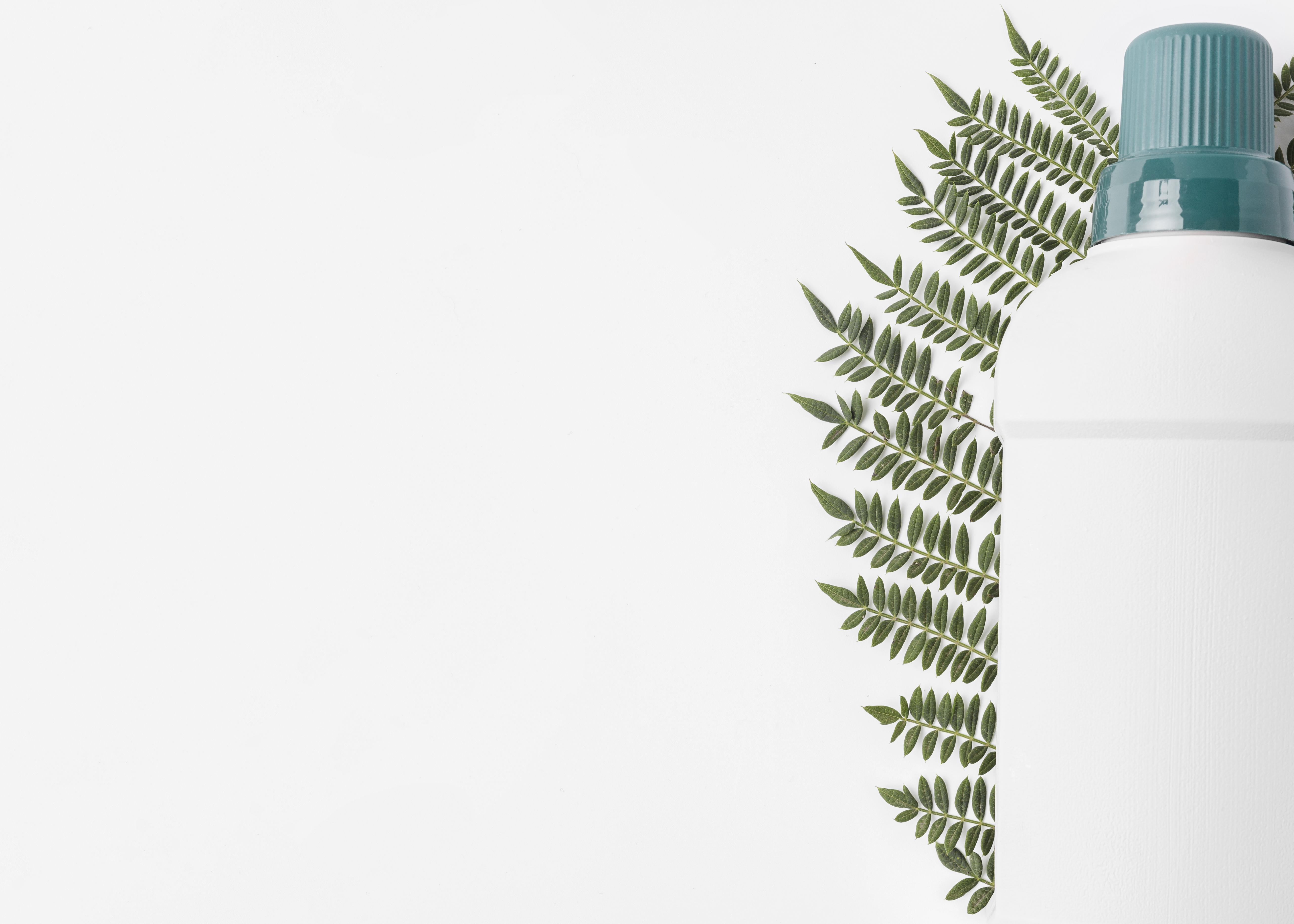 Orlando Restoration Company