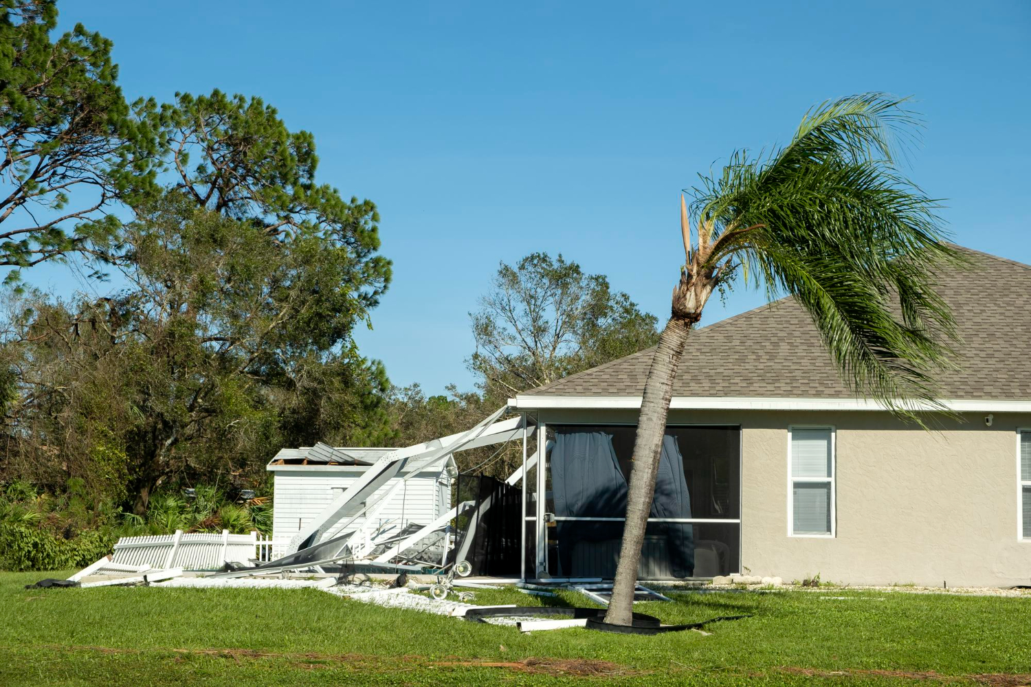 Orlando Emergency Mold Remediation