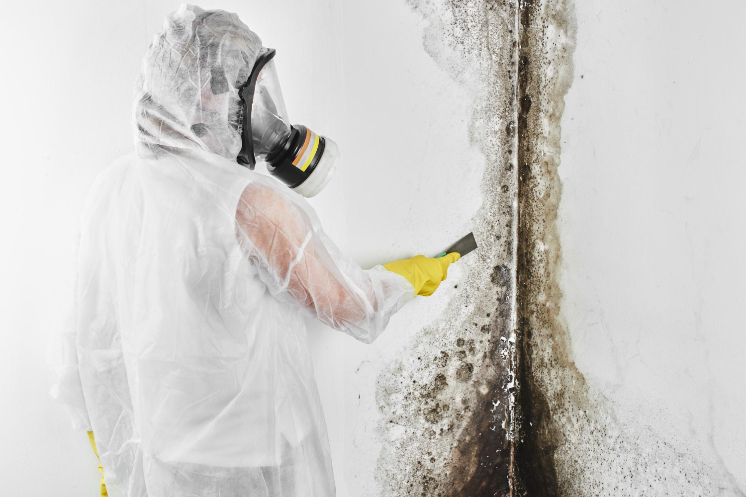 Orlando Water Damage Restoration